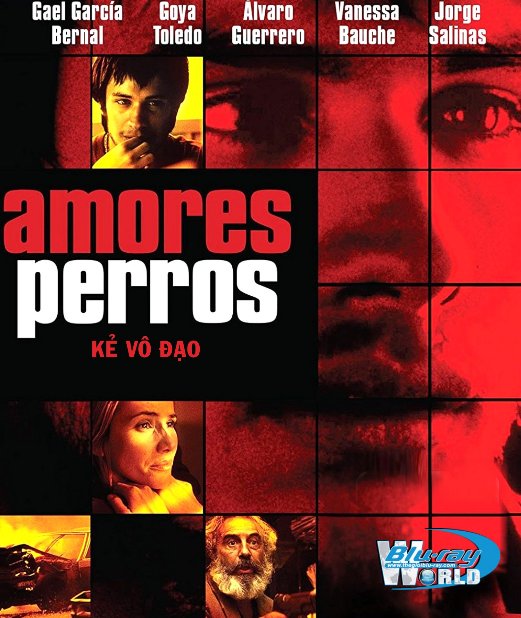 B3549. Amores Perros -  Kẻ Vô Đạo 2D25G (DTS-HD MA 5.1) 